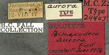 Media type: image;   Entomology 24403 Aspect: labels